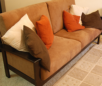 Furniture/Upholstery Cleaning